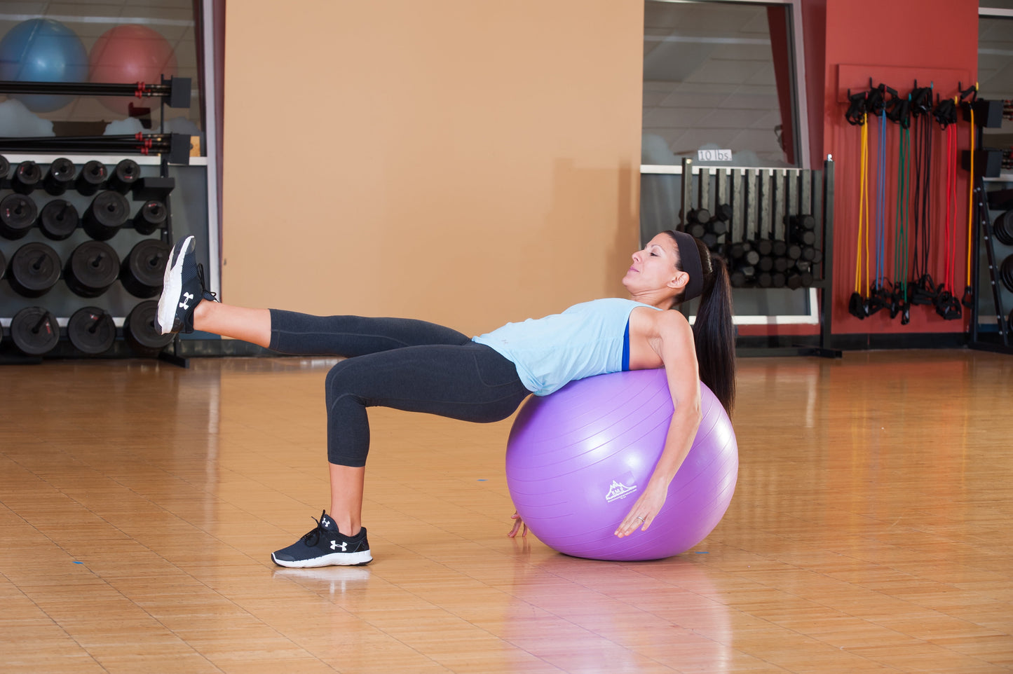 Professional Grade Stability Ball, 75Cm Purple